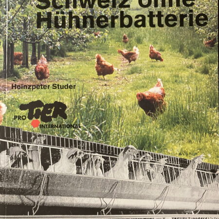 Schweiz ohne Hühnerbatterie